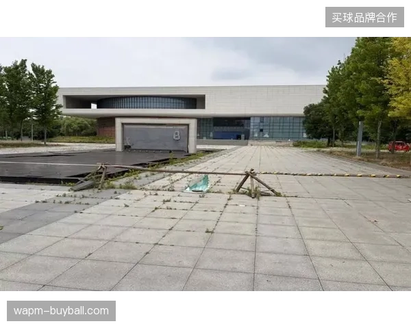 场馆远程制作接口建设盲目跟风，导致近四成设施在2026年夏季面临闲置窘境